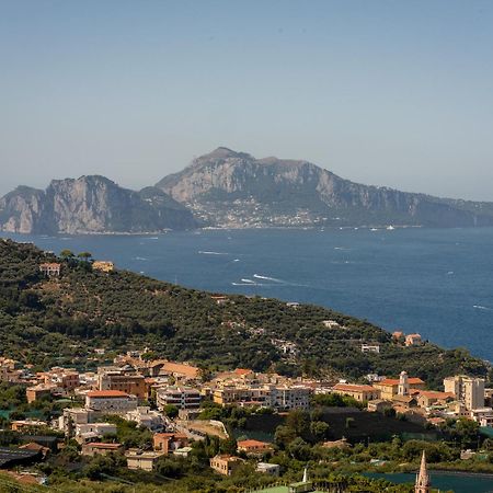 Villa Eliana Sorrento Dış mekan fotoğraf