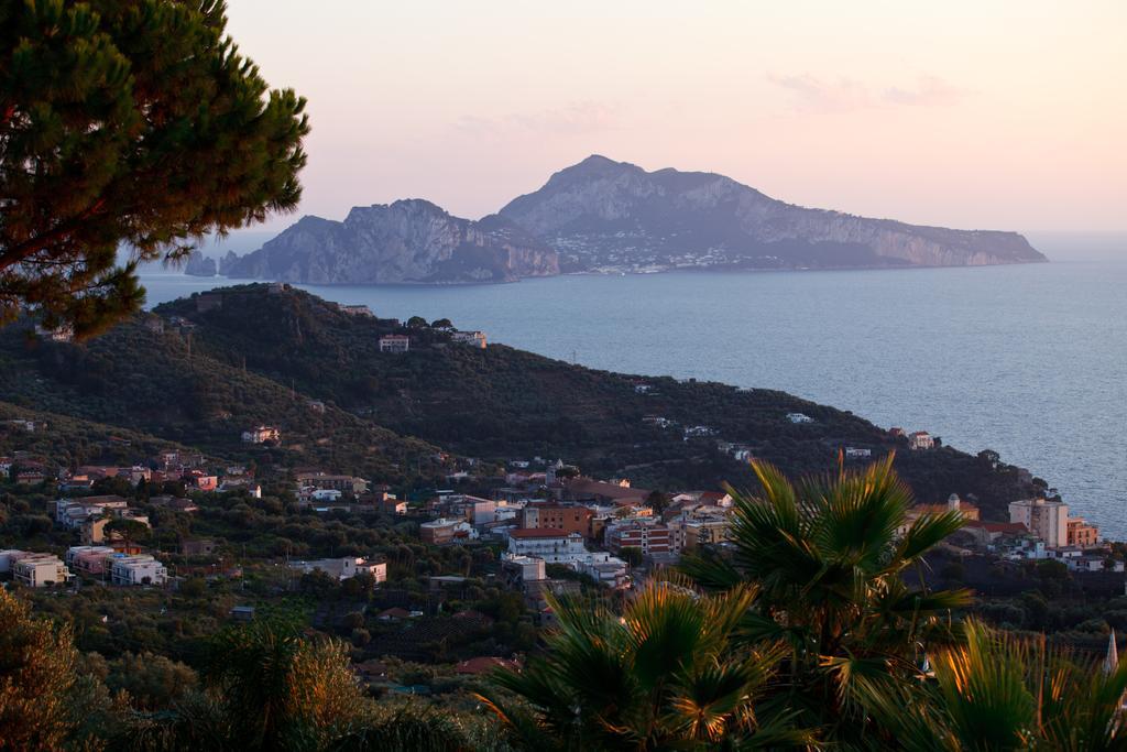 Villa Eliana Sorrento Dış mekan fotoğraf